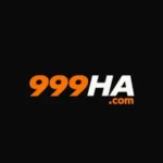 999HA Game