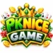 Pknice Game