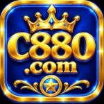 C880 Game