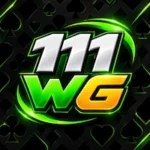 111WG Game