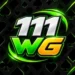 111WG Game